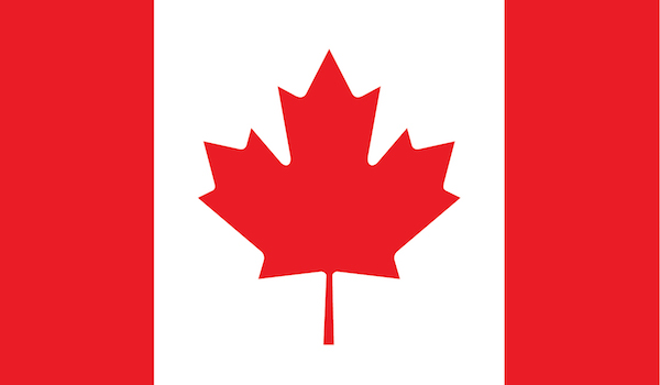 Flag 8