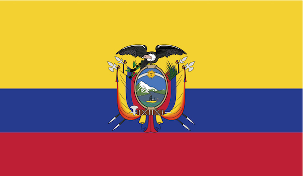 Flag 7